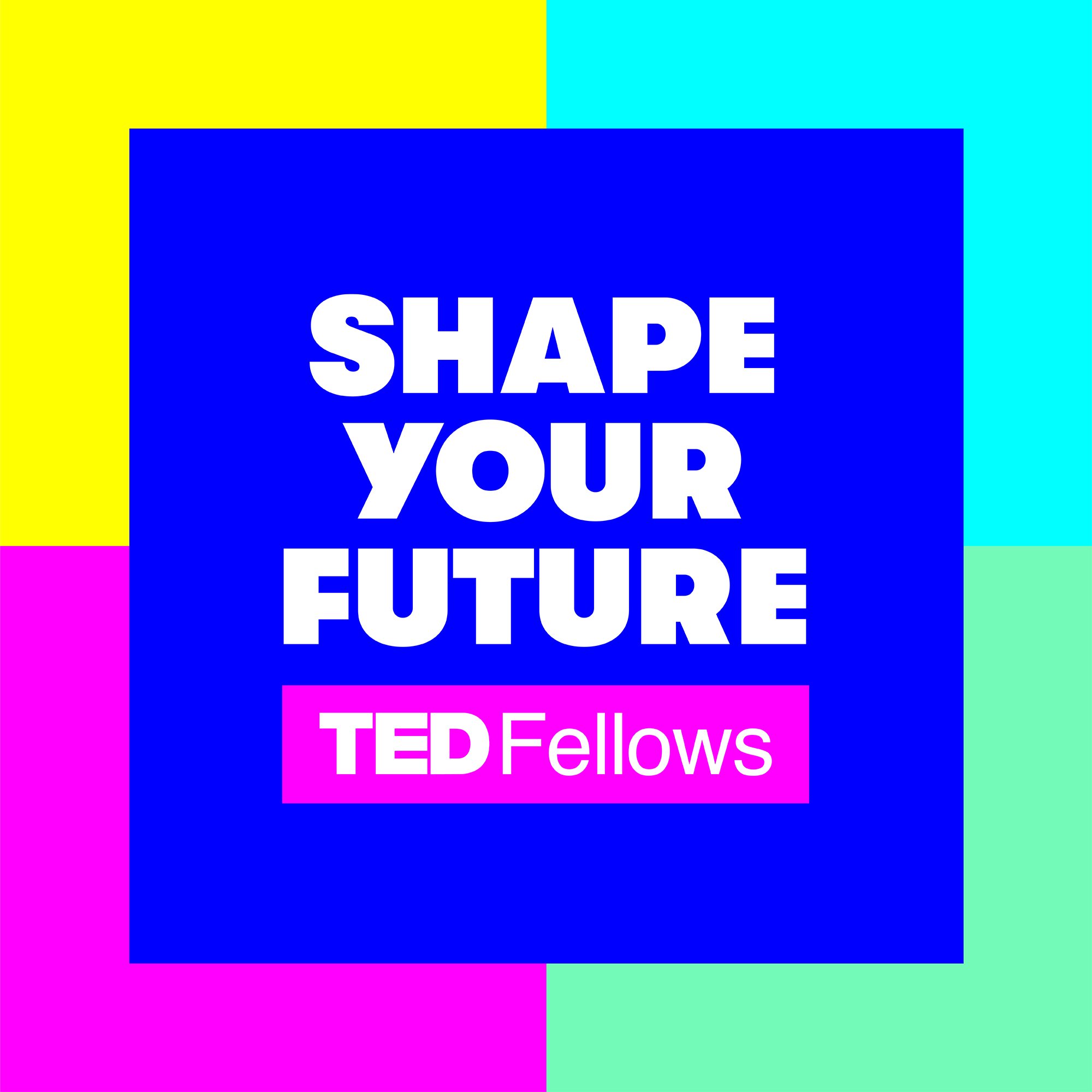 TED Fellows Shape Your Future TED Series