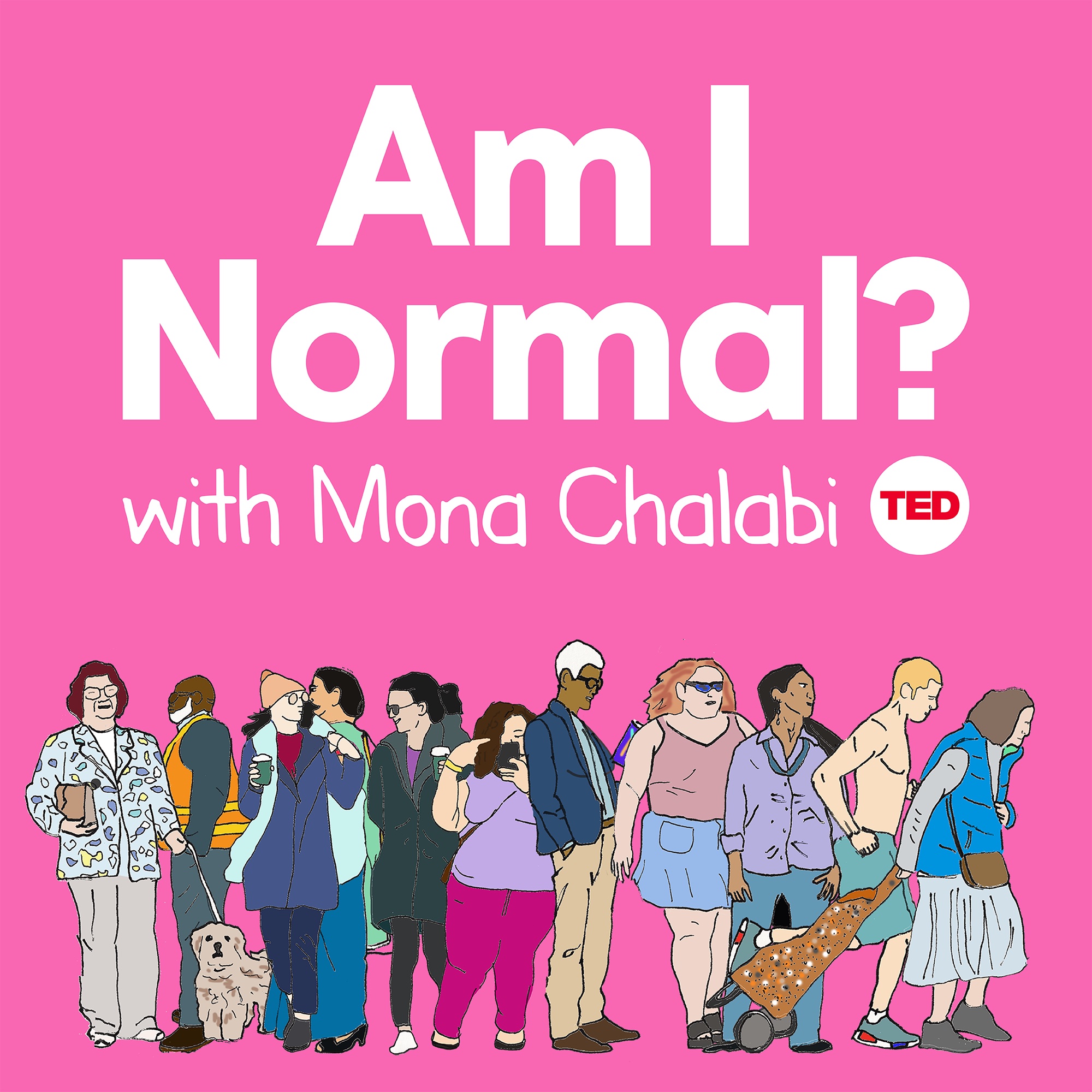 Am I Normal? with Mona Chalabi